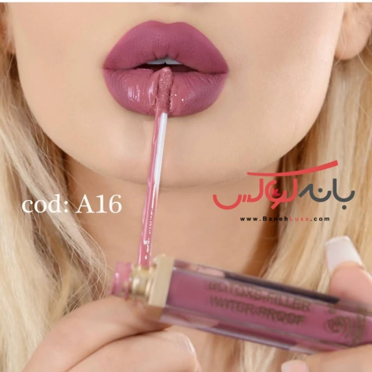 رژلب مایع 24 ساعته گلدن مود فرانسه گیاهی بدون سرب حاوی بوتاکس و فیلر