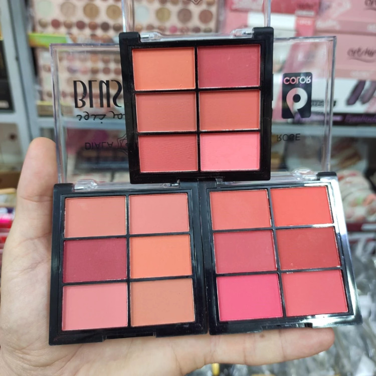 رژگونه 6 رنگ دیلا رز DILA ROSE