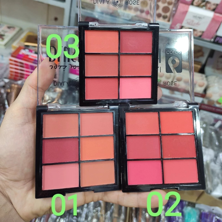 رژگونه 6 رنگ دیلا رز DILA ROSE