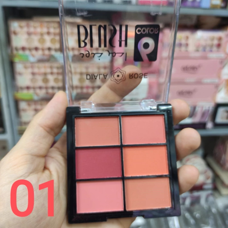 رژگونه 6 رنگ دیلا رز DILA ROSE